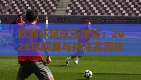 欧洲杯足球压球站：2026年观赛与投注实用指南
