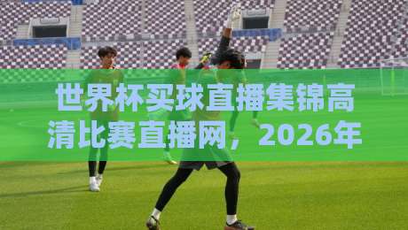 世界杯买球直播集锦高清比赛直播网，2026年球迷必藏的观赛神器